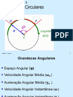 Física 1 - Cap. 5 - Movimentos Circulares