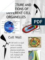 Structure and Functions of Different Cell Organelles