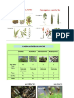 Informacion Adicional para La Salida de Campo