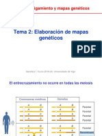 Unidad 2 Tema 2 Elaboración Mapas PDF