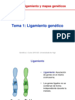 Unidad 2 Tema 1 Ligamiento PDF