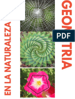 Geometria en La Naturaleza