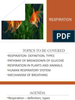 LIFE PROCESSES - RESPIRATION