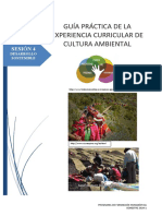 GUIA PR - CTICA 04 Cultura Ambiental