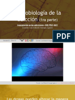 ADICC S03 C05 Neurobiología de La Adicción 01