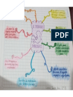 Desarrollo Embrionario (Mapa Semantico)