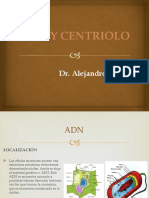 Clase 8 ADN y centriolo.pptx