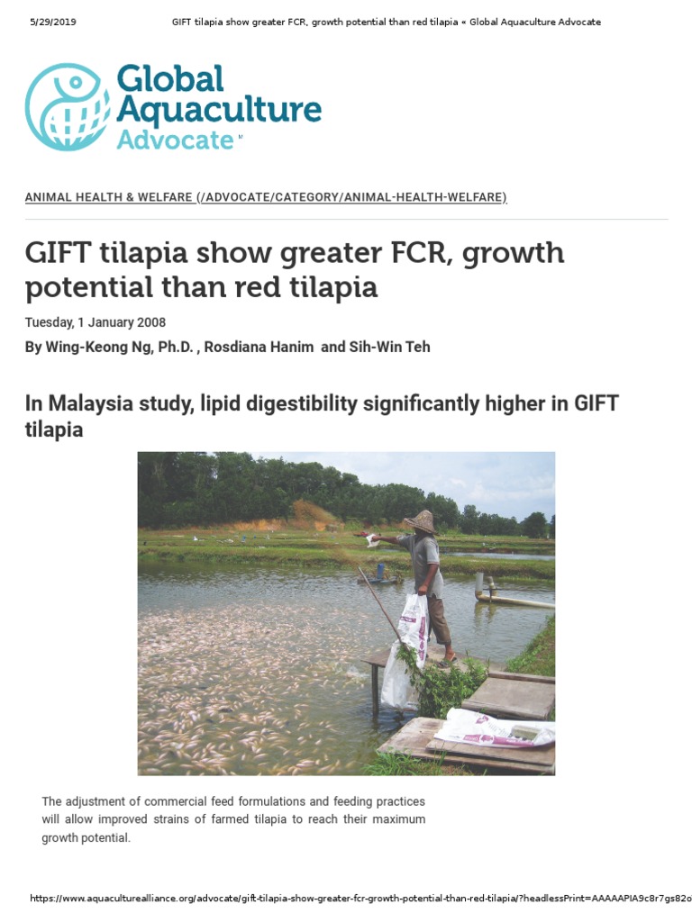GIFT Tilapia Show Greater FCR, Growth Potential Than Red Tilapia PDF