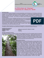 DOCUMENTO TECNICO - Ecologia y Silvicultura de Ishpingo Amburana Cearensis - INIA Angulo