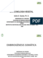 embriogenesis somatica.pdf