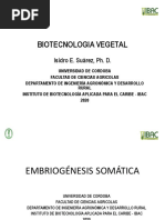 embriogenesis somatica.pdf