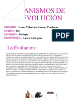 Mecanismos de La Evolución