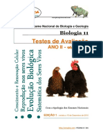 netexplica testes correção.pdf