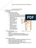 Given. Kidney: Nephron