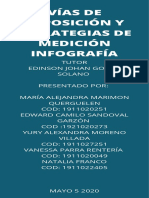 Vias de Exposicion PDF