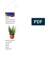 PLANTE MEDICINALE BIOLOGIE Proiect PDF
