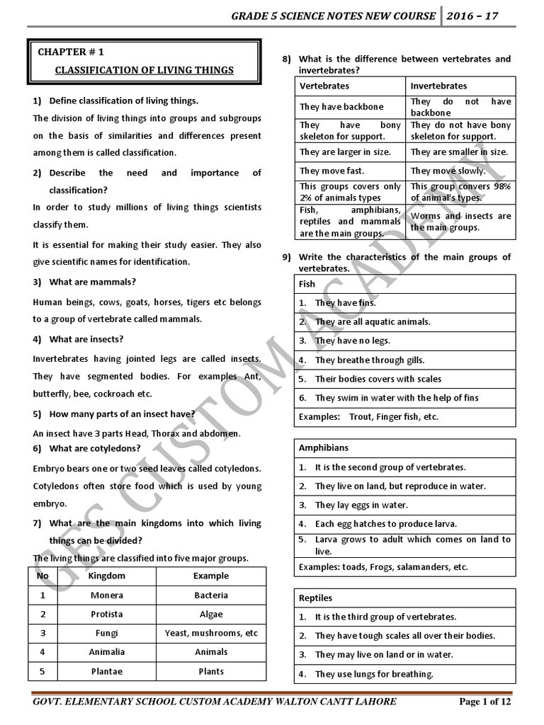 Grade 5 Science Classification Notes | PDF | Solar System | Liquids