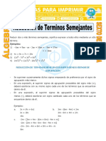 Reduccion de Terminos Semejantes para Sexto de Primaria