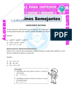 Terminos Semejantes Con Coeficiente Natural para Quinto de Primaria PDF