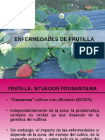 2 - Enfermedades de Frutilla