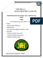 DETERMINACION DE FE Y SI (1).docx