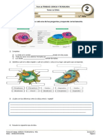 2020 - 1° Año - CIEN - IB - SEM 2 - FICHA DE TRABAJO