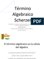 02 Término Algebraico