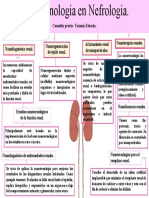 Insuficiencia Renal