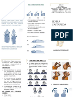Plan Casero Discopatia Cervical PDF