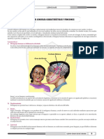 Características y Funciones Del Lenguaje.