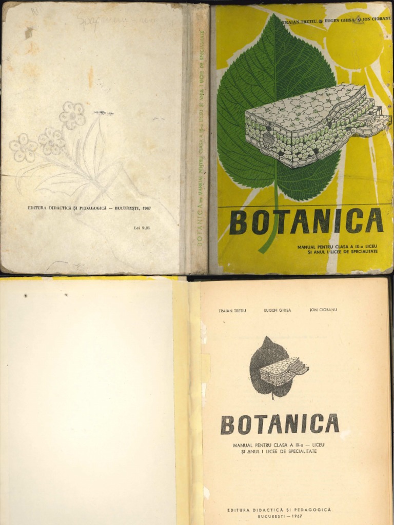 Botanica IX 1967 | PDF