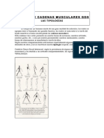 Método de Cadenas Musculares Gds Método de Cadenas Musculares Gds Las Tipologías Las Tipologías