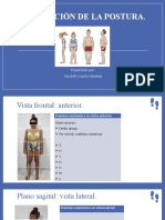 Evaluación de La Postura