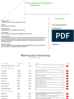 Custom-Calisthenics-Program-Michael-Woerdman.pdf