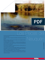 Cionne - Peces del Neuquén.pdf