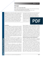 Survivin in Skin Pathologies: Laura Bongiovanni, Eliane J. Mu Ller and Leonardo Della Salda