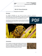 S01.S1-Tarea Extinción - Final PDF