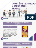 Comite D Seg y Salud e L W 002 PDF