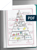 cadena alimenticia.pdf