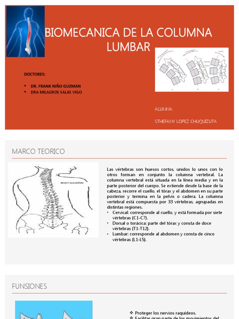 Biomecanica de La Columna Lumbar | PDF | La columna vertebral | Vértebra
