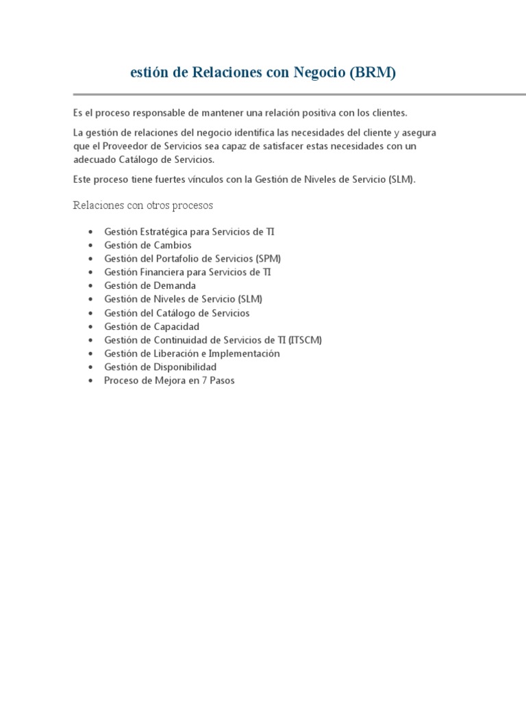Gestión de Relaciones con Negocios (BRM) | PDF