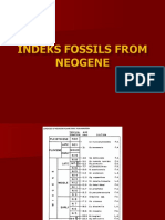 Indeks Fosil Neogene