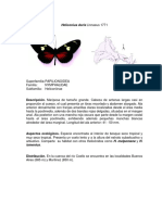 Fichas Heliconinae PDF