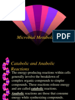 Lect 5 A Metabolism PDF