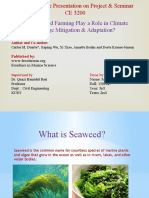 Can Seaweed Farming Play A Role in Climate Change Mitigation & Adaptation?