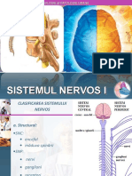 X-Sistemul Nervos I