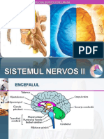 X - Sistemul Nervos Ii