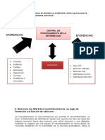 Tarea 2 Psicofisiología