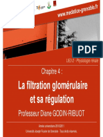La Filtration Glomérulaire Et Sa Régulation