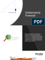 Lineamiento de Buena Gobernanza Forestal - Magaly Avila